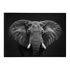 Elephant �]�E �G���t�@���g �T�o���i �A�t���J ���� ���R �l�C�`���[ ���� �A�j�}�� �쐶���� �ʐ^�|�X�^�[ �C���e���A ������� �v�����g�|�X�^�[ �t�H�g �V���v�� ������ ���� �傫��/lh-poster