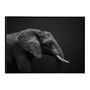 Elephant �]�E �G���t�@���g �T�o���i �A�t���J ���� ���R �l�C�`���[ ���� �A�j�}�� �쐶���� �ʐ^�|�X�^�[ �C���e���A ������� �v�����g�|�X�^�[ �t�H�g �V���v�� ������ ���� �傫��/lh-poster