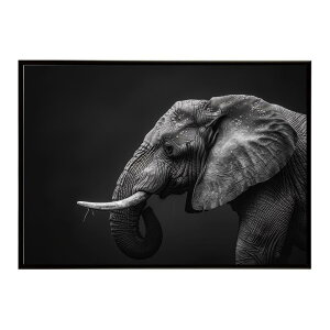 Elephant �]�E �G���t�@���g �T�o���i �A�t���J ���� ���R �l�C�`���[ ���� �A�j�}�� �쐶���� �ʐ^�|�X�^�[ �C���e���A ������� �v�����g�|�X�^�[ �t�H�g �V���v�� ������ ���� �傫��/lh-poster