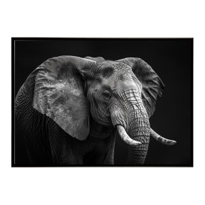 Elephant �]�E �G���t�@���g �T�o���i �A�t���J ���� ���R �l�C�`���[ ���� �A�j�}�� �쐶���� �ʐ^�|�X�^�[ �C���e���A ������� �v�����g�|�X�^�[ �t�H�g �V���v�� ������ ���� �傫��/lh-poster