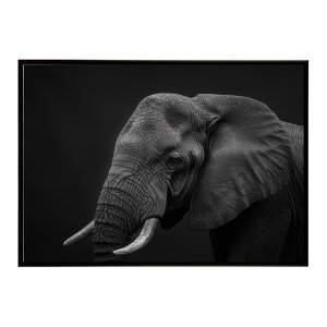 Elephant �]�E �G���t�@���g �T�o���i �A�t���J ���� ���R �l�C�`���[ ���� �A�j�}�� �쐶���� �ʐ^�|�X�^�[ �C���e���A ������� �v�����g�|�X�^�[ �t�H�g �V���v�� ������ ���� �傫��/lh-poster