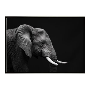 Elephant �]�E �G���t�@���g �T�o���i �A�t���J ���� ���R �l�C�`���[ ���� �A�j�}�� �쐶���� �ʐ^�|�X�^�[ �C���e���A ������� �v�����g�|�X�^�[ �t�H�g �V���v�� ������ ���� �傫��/lh-poster