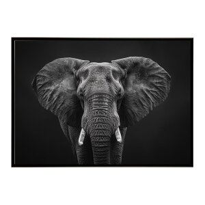 Elephant �]�E �G���t�@���g �T�o���i �A�t���J ���� ���R �l�C�`���[ ���� �A�j�}�� �쐶���� �ʐ^�|�X�^�[ �C���e���A ������� �v�����g�|�X�^�[ �t�H�g �V���v�� ������ ���� �傫��/lh-poster