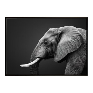 Elephant �]�E �G���t�@���g �T�o���i �A�t���J ���� ���R �l�C�`���[ ���� �A�j�}�� �쐶���� �ʐ^�|�X�^�[ �C���e���A ������� �v�����g�|�X�^�[ �t�H�g �V���v�� ������ ���� �傫��/lh-poster