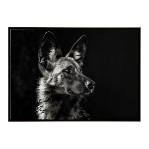 African wild dog �A�t���J�����C���h�h�b�N ���J�I�� �R���[�e �� �n�C�G�i �T�o���i �A�t���J ���� ���R �l�C�`���[ ���� �A�j�}�� �쐶���� �ʐ^�|�X�^�[ �C���e���A ������� �v�����g�|�X�^