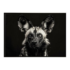African wild dog �A�t���J�����C���h�h�b�N ���J�I�� �R���[�e �� �n�C�G�i �T�o���i �A�t���J ���� ���R �l�C�`���[ ���� �A�j�}�� �쐶���� �ʐ^�|�X�^�[ �C���e���A ������� �v�����g�|�X�^