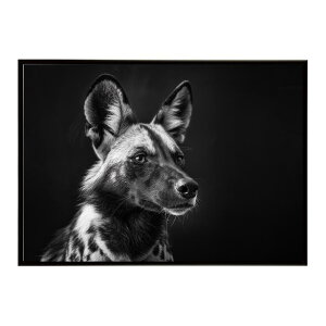 African wild dog �A�t���J�����C���h�h�b�N ���J�I�� �R���[�e �� �n�C�G�i �T�o���i �A�t���J ���� ���R �l�C�`���[ ���� �A�j�}�� �쐶���� �ʐ^�|�X�^�[ �C���e���A ������� �v�����g�|�X�^