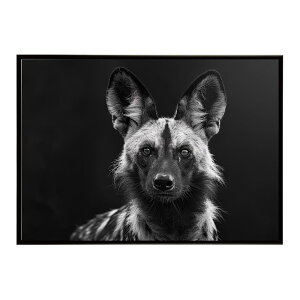 African wild dog �A�t���J�����C���h�h�b�N ���J�I�� �R���[�e �� �n�C�G�i �T�o���i �A�t���J ���� ���R �l�C�`���[ ���� �A�j�}�� �쐶���� �ʐ^�|�X�^�[ �C���e���A ������� �v�����g�|�X�^