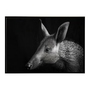 Aardvark �A�[�h�o�[�N �c�`�u�^ �T�o���i �A�t���J ���� ���R �l�C�`���[ ���� �A�j�}�� �쐶���� �ʐ^�|�X�^�[ �C���e���A ������� �v�����g�|�X�^�[ �t�H�g �V���v�� ������ ���� �傫��/lh-