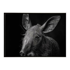 Aardvark �A�[�h�o�[�N �c�`�u�^ �T�o���i �A�t���J ���� ���R �l�C�`���[ ���� �A�j�}�� �쐶���� �ʐ^�|�X�^�[ �C���e���A ������� �v�����g�|�X�^�[ �t�H�g �V���v�� ������ ���� �傫��/lh-