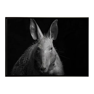 Aardvark �A�[�h�o�[�N �c�`�u�^ �T�o���i �A�t���J ���� ���R �l�C�`���[ ���� �A�j�}�� �쐶���� �ʐ^�|�X�^�[ �C���e���A ������� �v�����g�|�X�^�[ �t�H�g �V���v�� ������ ���� �傫��/lh-