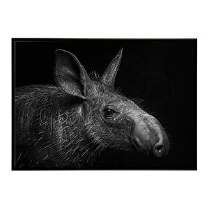 Aardvark �A�[�h�o�[�N �c�`�u�^ �T�o���i �A�t���J ���� ���R �l�C�`���[ ���� �A�j�}�� �쐶���� �ʐ^�|�X�^�[ �C���e���A ������� �v�����g�|�X�^�[ �t�H�g �V���v�� ������ ���� �傫��/lh-