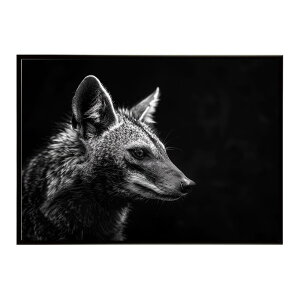 Aardwolf �A�[�h�E���t �T�o���i �A�t���J ���� ���R �l�C�`���[ ���� �A�j�}�� �쐶���� �ʐ^�|�X�^�[ �C���e���A ������� �v�����g�|�X�^�[ �t�H�g �V���v�� ������ ���� �傫��/lh-poster-7254
