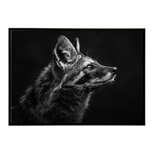 Aardwolf �A�[�h�E���t �T�o���i �A�t���J ���� ���R �l�C�`���[ ���� �A�j�}�� �쐶���� �ʐ^�|�X�^�[ �C���e���A ������� �v�����g�|�X�^�[ �t�H�g �V���v�� ������ ���� �傫��/lh-poster-7255