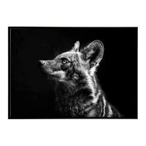 Aardwolf �A�[�h�E���t �T�o���i �A�t���J ���� ���R �l�C�`���[ ���� �A�j�}�� �쐶���� �ʐ^�|�X�^�[ �C���e���A ������� �v�����g�|�X�^�[ �t�H�g �V���v�� ������ ���� �傫��/lh-poster-7257