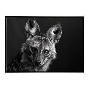 Aardwolf �A�[�h�E���t �T�o���i �A�t���J ���� ���R �l�C�`���[ ���� �A�j�}�� �쐶���� �ʐ^�|�X�^�[ �C���e���A ������� �v�����g�|�X�^�[ �t�H�g �V���v�� ������ ���� �傫��/lh-poster-7258