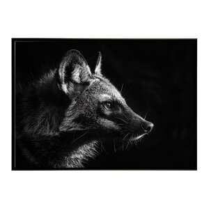 Aardwolf �A�[�h�E���t �T�o���i �A�t���J ���� ���R �l�C�`���[ ���� �A�j�}�� �쐶���� �ʐ^�|�X�^�[ �C���e���A ������� �v�����g�|�X�^�[ �t�H�g �V���v�� ������ ���� �傫��/lh-poster-7261
