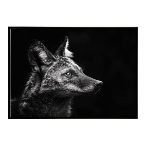 Aardwolf �A�[�h�E���t �T�o���i �A�t���J ���� ���R �l�C�`���[ ���� �A�j�}�� �쐶���� �ʐ^�|�X�^�[ �C���e���A ������� �v�����g�|�X�^�[ �t�H�g �V���v�� ������ ���� �傫��/lh-poster-7263