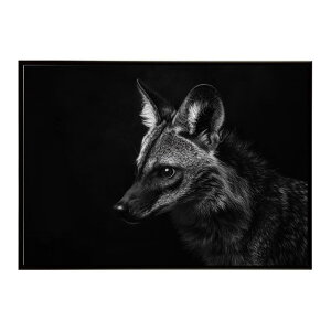 Aardwolf �A�[�h�E���t �T�o���i �A�t���J ���� ���R �l�C�`���[ ���� �A�j�}�� �쐶���� �ʐ^�|�X�^�[ �C���e���A ������� �v�����g�|�X�^�[ �t�H�g �V���v�� ������ ���� �傫��/lh-poster-7264