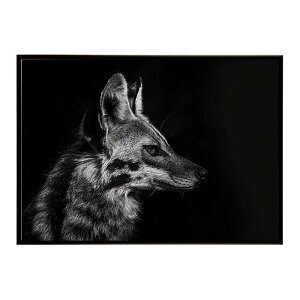 Aardwolf �A�[�h�E���t �T�o���i �A�t���J ���� ���R �l�C�`���[ ���� �A�j�}�� �쐶���� �ʐ^�|�X�^�[ �C���e���A ������� �v�����g�|�X�^�[ �t�H�g �V���v�� ������ ���� �傫��/lh-poster-7269