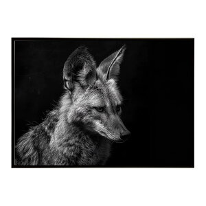 Aardwolf �A�[�h�E���t �T�o���i �A�t���J ���� ���R �l�C�`���[ ���� �A�j�}�� �쐶���� �ʐ^�|�X�^�[ �C���e���A ������� �v�����g�|�X�^�[ �t�H�g �V���v�� ������ ���� �傫��/lh-poster-7270