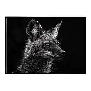 Aardwolf �A�[�h�E���t �T�o���i �A�t���J ���� ���R �l�C�`���[ ���� �A�j�}�� �쐶���� �ʐ^�|�X�^�[ �C���e���A ������� �v�����g�|�X�^�[ �t�H�g �V���v�� ������ ���� �傫��/lh-poster-7273