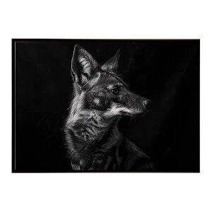 Aardwolf �A�[�h�E���t �T�o���i �A�t���J ���� ���R �l�C�`���[ ���� �A�j�}�� �쐶���� �ʐ^�|�X�^�[ �C���e���A ������� �v�����g�|�X�^�[ �t�H�g �V���v�� ������ ���� �傫��/lh-poster-7275
