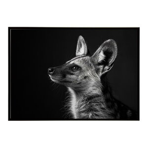 Aardwolf �A�[�h�E���t �T�o���i �A�t���J ���� ���R �l�C�`���[ ���� �A�j�}�� �쐶���� �ʐ^�|�X�^�[ �C���e���A ������� �v�����g�|�X�^�[ �t�H�g �V���v�� ������ ���� �傫��/lh-poster-7277