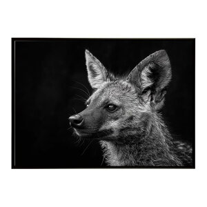 Aardwolf �A�[�h�E���t �T�o���i �A�t���J ���� ���R �l�C�`���[ ���� �A�j�}�� �쐶���� �ʐ^�|�X�^�[ �C���e���A ������� �v�����g�|�X�^�[ �t�H�g �V���v�� ������ ���� �傫��/lh-poster-7278