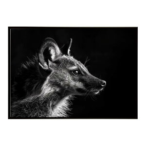 Aardwolf �A�[�h�E���t �T�o���i �A�t���J ���� ���R �l�C�`���[ ���� �A�j�}�� �쐶���� �ʐ^�|�X�^�[ �C���e���A ������� �v�����g�|�X�^�[ �t�H�g �V���v�� ������ ���� �傫��/lh-poster-7280