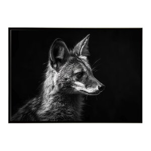 Aardwolf �A�[�h�E���t �T�o���i �A�t���J ���� ���R �l�C�`���[ ���� �A�j�}�� �쐶���� �ʐ^�|�X�^�[ �C���e���A ������� �v�����g�|�X�^�[ �t�H�g �V���v�� ������ ���� �傫��/lh-poster-7281