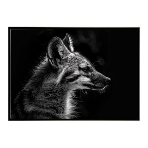 Aardwolf �A�[�h�E���t �T�o���i �A�t���J ���� ���R �l�C�`���[ ���� �A�j�}�� �쐶���� �ʐ^�|�X�^�[ �C���e���A ������� �v�����g�|�X�^�[ �t�H�g �V���v�� ������ ���� �傫��/lh-poster-7282