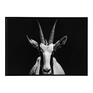Oryx �I���b�N�X �T�o���i �A�t���J ���� ���R �l�C�`���[ ���� �A�j�}�� �쐶���� �ʐ^ �A���e���[�v ���|�X�^�[ �C���e���A ������� �v�����g�|�X�^�[ �t�H�g �V���v�� ������ ���� �傫��/