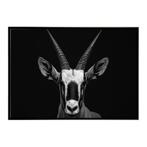 Oryx �I���b�N�X �T�o���i �A�t���J ���� ���R �l�C�`���[ ���� �A�j�}�� �쐶���� �ʐ^ �A���e���[�v ���|�X�^�[ �C���e���A ������� �v�����g�|�X�^�[ �t�H�g �V���v�� ������ ���� �傫��/
