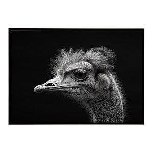 Ostrich �_�`���E �I�[�X�g���b�` �T�o���i �A�t���J ���� ���R �l�C�`���[ ���� �A�j�}�� �쐶���� �ʐ^ ���|�X�^�[ �C���e���A ������� �v�����g�|�X�^�[ �t�H�g �V���v�� ������ ���� �傫