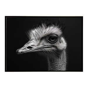 Ostrich �_�`���E �I�[�X�g���b�` �T�o���i �A�t���J ���� ���R �l�C�`���[ ���� �A�j�}�� �쐶���� �ʐ^ ���|�X�^�[ �C���e���A ������� �v�����g�|�X�^�[ �t�H�g �V���v�� ������ ���� �傫