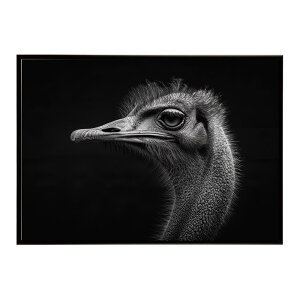Ostrich �_�`���E �I�[�X�g���b�` �T�o���i �A�t���J ���� ���R �l�C�`���[ ���� �A�j�}�� �쐶���� �ʐ^ ���|�X�^�[ �C���e���A ������� �v�����g�|�X�^�[ �t�H�g �V���v�� ������ ���� �傫