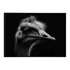 Ostrich �_�`���E �I�[�X�g���b�` �T�o���i �A�t���J ���� ���R �l�C�`���[ ���� �A�j�}�� �쐶���� �ʐ^ ���|�X�^�[ �C���e���A ������� �v�����g�|�X�^�[ �t�H�g �V���v�� ������ ���� �傫