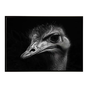 Ostrich �_�`���E �I�[�X�g���b�` �T�o���i �A�t���J ���� ���R �l�C�`���[ ���� �A�j�}�� �쐶���� �ʐ^ ���|�X�^�[ �C���e���A ������� �v�����g�|�X�^�[ �t�H�g �V���v�� ������ ���� �傫
