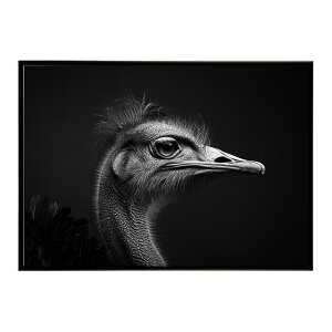 Ostrich �_�`���E �I�[�X�g���b�` �T�o���i �A�t���J ���� ���R �l�C�`���[ ���� �A�j�}�� �쐶���� �ʐ^ ���|�X�^�[ �C���e���A ������� �v�����g�|�X�^�[ �t�H�g �V���v�� ������ ���� �傫