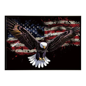 AJC[O   h gr  tbO AJ A[g|X^[ pƃTCYIׂ CeA  vg|X^[ tHg IV A[g AJg