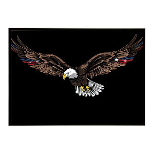 AJC[O   h gr  tbO AJ A[g|X^[ pƃTCYIׂ CeA  vg|X^[ tHg IV A[g AJg