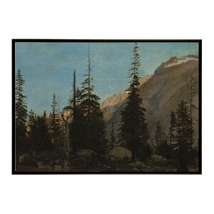 ĚÂG g|X^[ fW^}X^[Alpine Landscape The Handegg Switzerland CeA a0 a1 a2 a3 a4 b4 b0 b1 b2 b3i G ʉ  _ Vv ybn-poster-2694z
