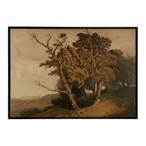 ĚÂG g|X^[ fW^}X^[Eichen CeA a0 a1 a2 a3 a4 b4 b0 b1 b2 b3i G ʉ  _ Vv ybn-poster-3134z