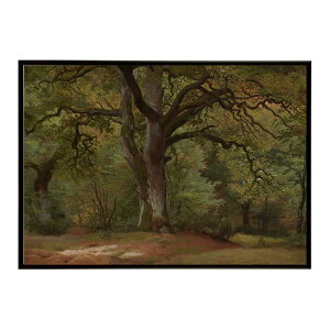 ĚÂG g|X^[ fW^}X^[Eichenwald im Solling CeA a0 a1 a2 a3 a4 b4 b0 b1 b2 b3i G ʉ  _ Vv ybn-poster-3135z