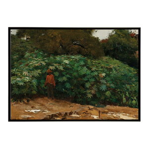 ĚÂG g|X^[ fW^}X^[Mamoneiras ? Morro de Sao Bento CeA a0 a1 a2 a3 a4 b4 b0 b1 b2 b3i G ʉ  _ Vv ybn-poster-3790z