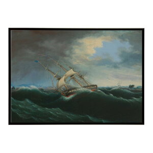 ĚÂG g|X^[ fW^}X^[The Constitution CeA a0 a1 a2 a3 a4 b4 b0 b1 b2 b3i G ʉ  _ Vv ybn-poster-4489z