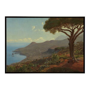 ĚÂG g|X^[ fW^}X^[Utsikt over Funchal pa Madeira CeA a0 a1 a2 a3 a4 b4 b0 b1 b2 b3i G ʉ  _ Vv ybn-poster-4740z