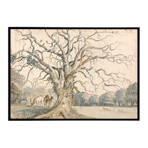 ĚÂG g|X^[ fW^}X^[View of a Park with Deer CeA a0 a1 a2 a3 a4 b4 b0 b1 b2 b3i G ʉ  _ Vv ybn-poster-4850z