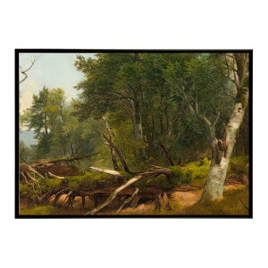 |X^[  G  a0 a1 a2 a3 a4 b0 b2 b1 b3 b4 LbcL̐X̕i CeA  Ri fW^}X^[ybn-poster-5807z